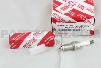 9091901243 PLUG, SPARK