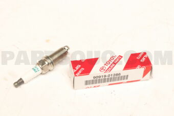 9091901286 PLUG, SPARK