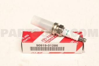 9091901286 PLUG, SPARK