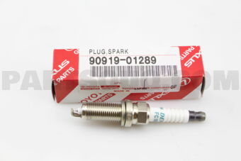 9091901289 PLUG, SPARK