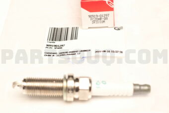 9091901297 PLUG  SPARK