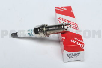 9091901298 PLUG  SPARK