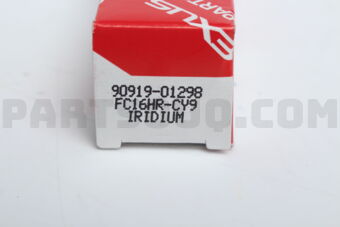 9091901298 PLUG  SPARK