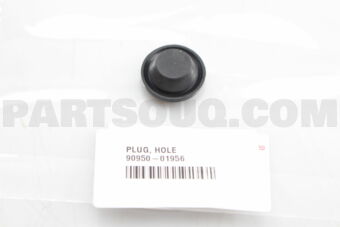 9095001956 PLUG, HOLE