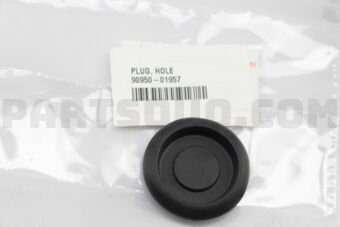 9095001957 PLUG, HOLE
