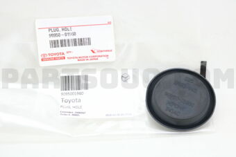 9095001960 PLUG, HOLE