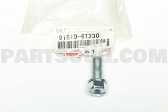9161961230 BOLT
