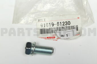 9161961230 BOLT