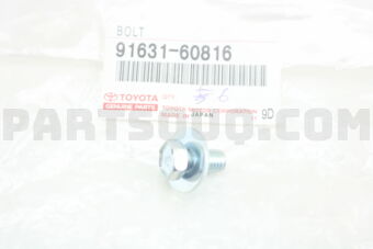 9163160816 BOLT
