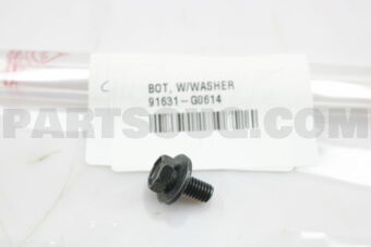 91631G0614 BOT, W/WASHER