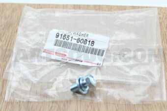 9165160818 BOLT,W/WASHER