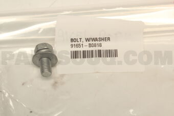 91651B0818 BOLT W/WASHER