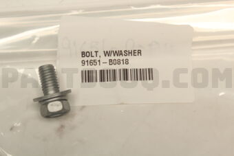 91651B0818 BOLT W/WASHER
