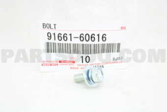 9166160616 BOLT