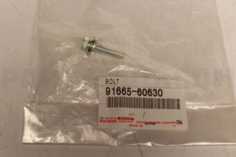 9166560630 BOLT
