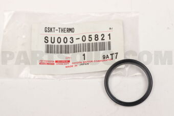 SU00305821 GSKT-THERMO