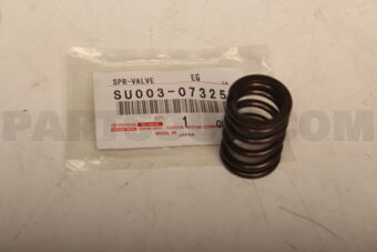 SU00307325 SPR-VALVE        EG