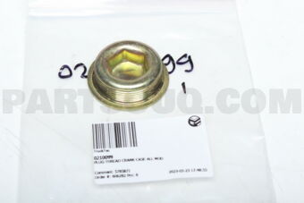 0210099 PLUG-THREAD CRANK CASE-ALL MOD