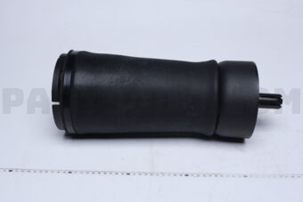 2230003 AIR SPRING SUSPENSION