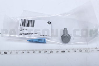 N10127707 BOLT