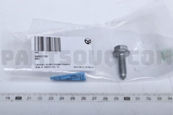 N10127707 BOLT