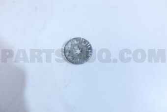 N90796502 WASHER