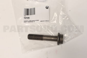 N91042802 TORX SCREW