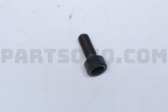 N91046101 SCREW