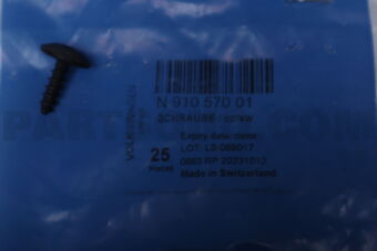 N91057001 SCREW