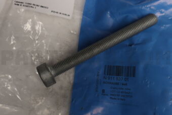 N91183701 BOLT