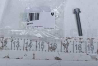 N91187501 BOLT