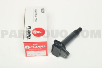 IGC107F PLUG TOP COIL W/MODUL