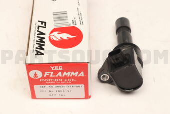 IGC619F 30520-R1A-A01