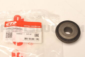CTR CVT97 BUSH-RR TRAILING ARM, RR