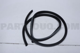 General Motors 96615176 W/STRIP DR OPG FRT LH