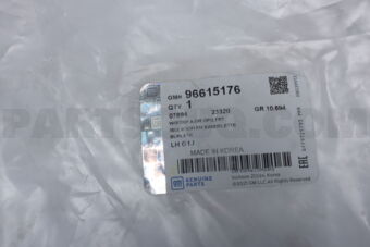 General Motors 96615176 W/STRIP DR OPG FRT LH