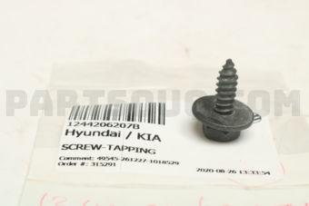 Hyundai / KIA 1244206207B SCREW-TAPPING