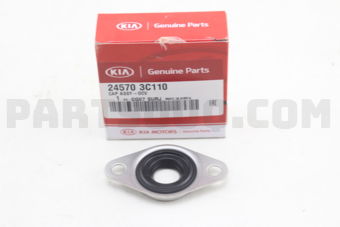 Hyundai / KIA 245703C110 CAP