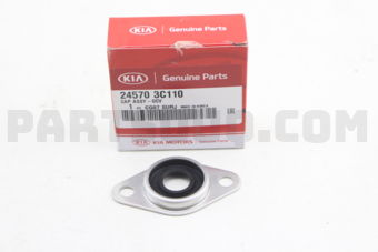 Hyundai / KIA 245703C110 CAP