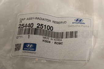 Hyundai / KIA 2544025100 CAP ASSY-RADIATOR RESERVOIR