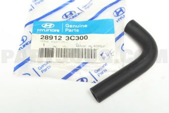 Hyundai / KIA 289123C300 HOSE ASSY-PCV
