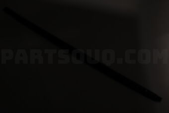 W/STRIP ASSY-FR DR BELT O/S RH 82220CC000 | Hyundai / KIA Parts | PartSouq