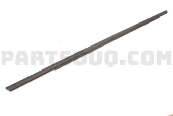 Hyundai / KIA 83210C5000 W/STRIP ASSY-RR DR BELT O/S LH