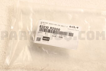 Hyundai / KIA 83210R2000 W/STRIP ASSY-RR DR BELT O/S LH