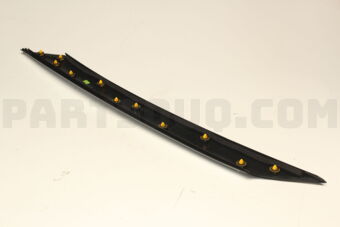 Hyundai / KIA 86250R0000 GARNISHASSY-FRTLH