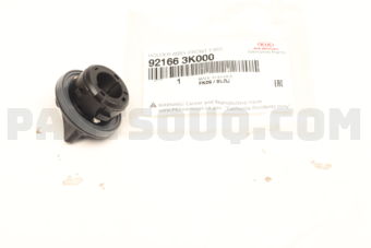 Hyundai / KIA 921663K000 HOLDER ASSY-FR T/SIG LAMP