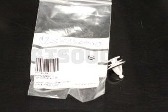 Hyundai / KIA 9255236000 CLIP-GARNISH MTG RR