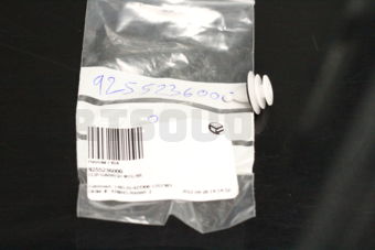 Hyundai / KIA 9255236000 CLIP-GARNISH MTG RR