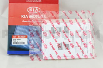 Hyundai / KIA P87901F200A AIR FILTER