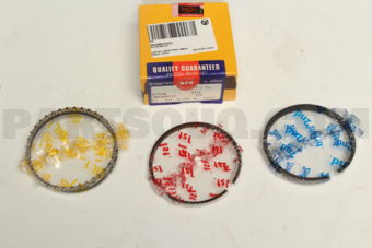 NPR SWN30097ZYSTD PISTON RING SET